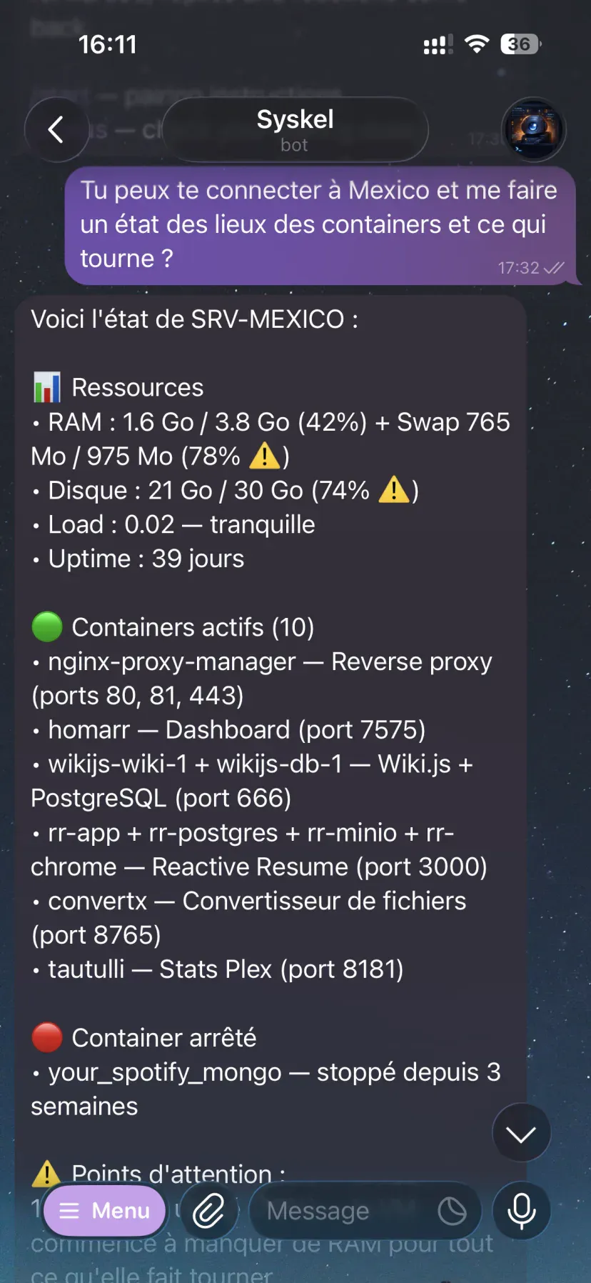 État des lieux d'un serveur demandé au bot Telegram : ressources, containers actifs et points d'attention