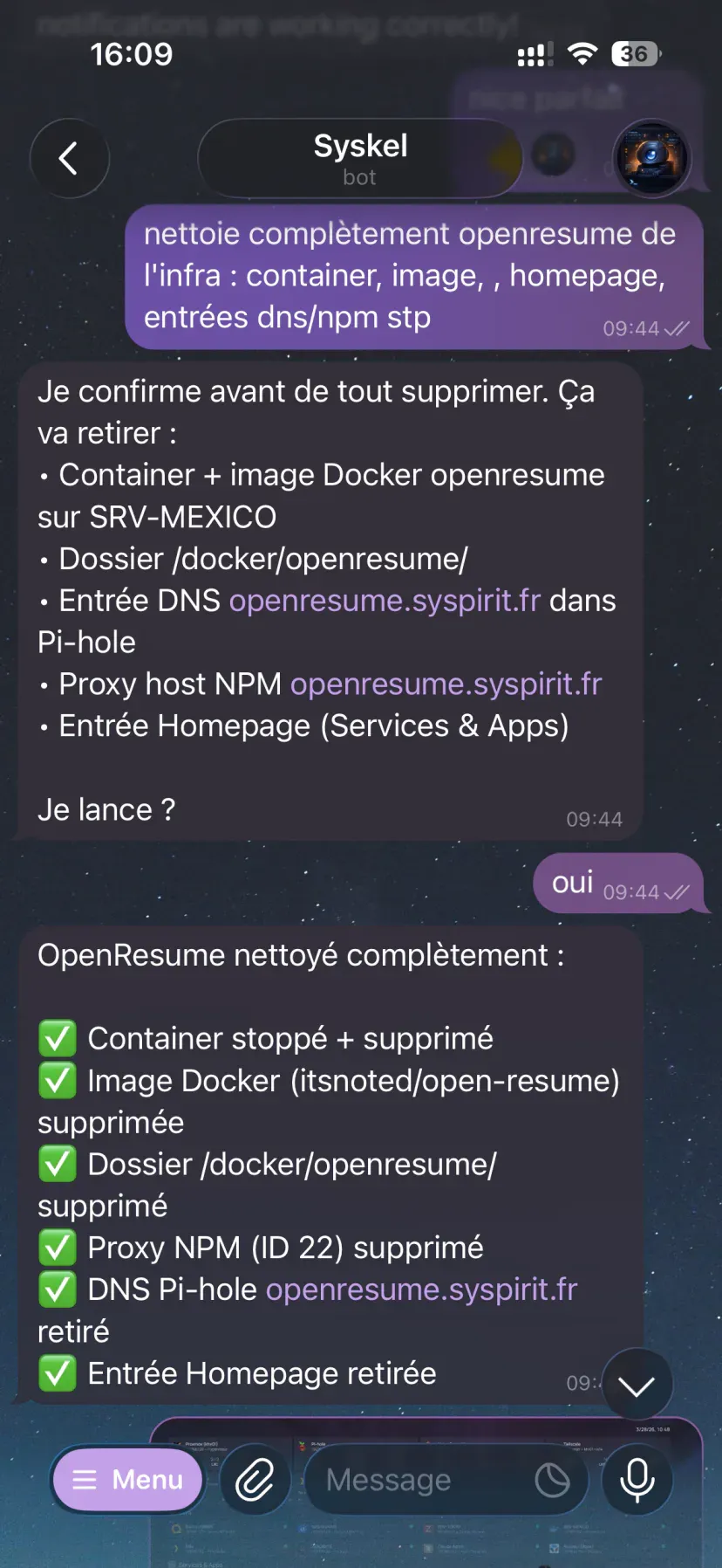 Suppression d'un service via Telegram : Claude liste le container, le dossier, l'entrée DNS et le proxy host avant de demander confirmation